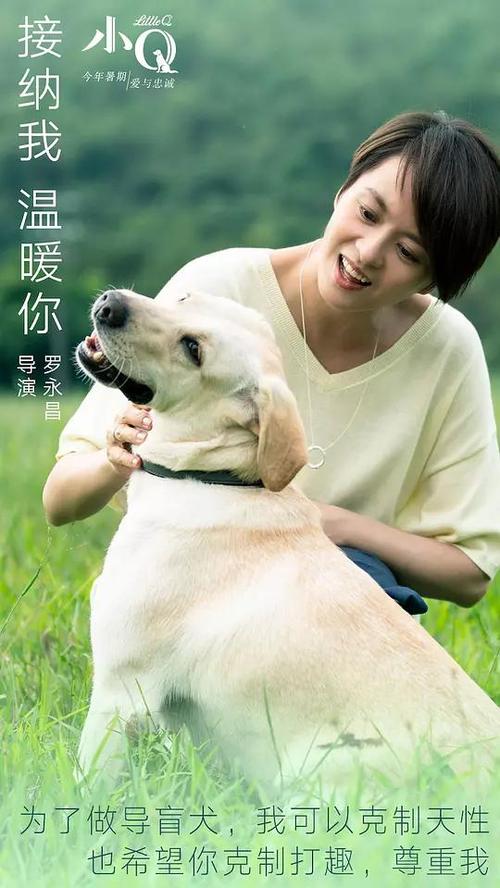 怎么购买自考毕业证